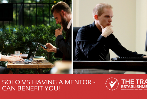 Flying-Solo-vs-Having-a-Mentor-how-it-can-benefit-you