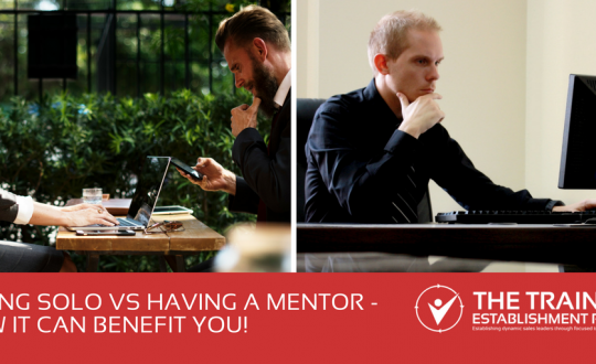 Flying-Solo-vs-Having-a-Mentor-how-it-can-benefit-you